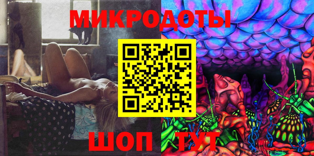 Галлюциногенные грибы Cubensis Луга