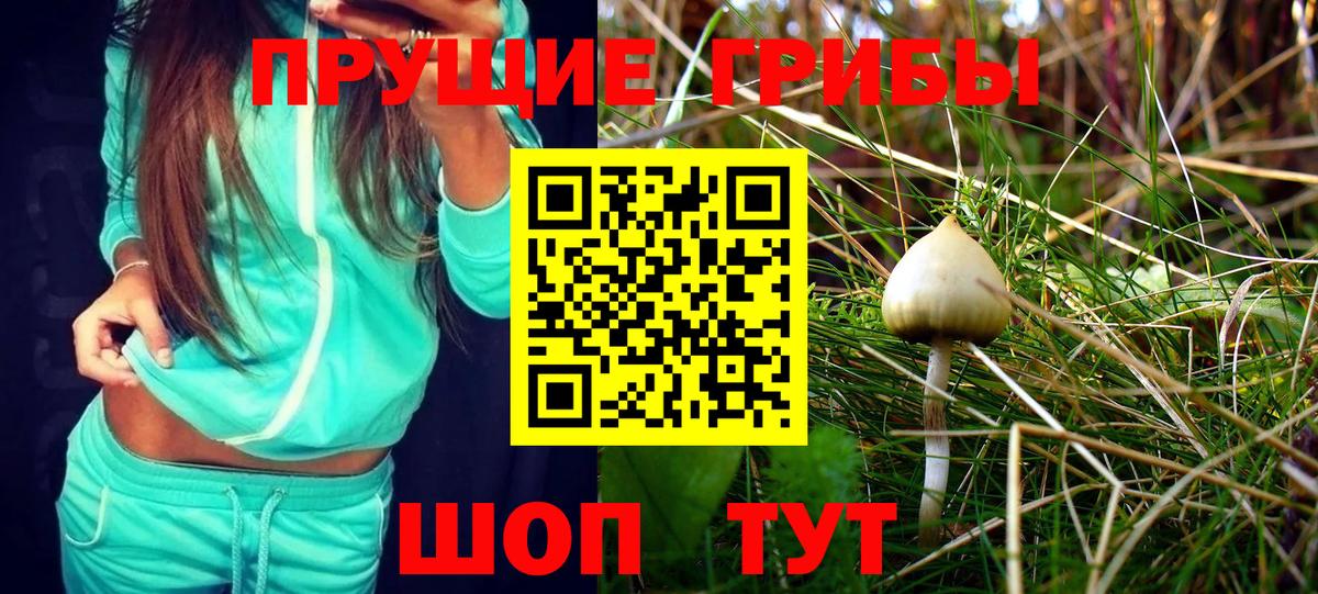 Галлюциногенные грибы Psilocybine cubensis  Псилоцибиновые грибы Magic Shrooms  Вход с VPN  Луга 